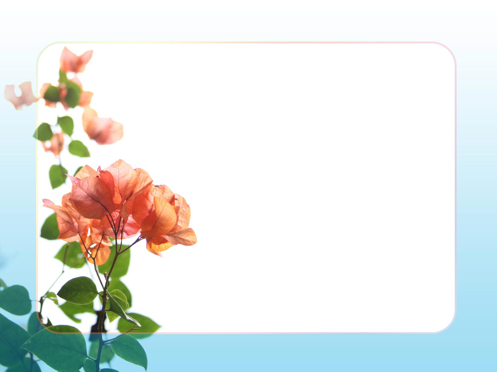 clipart flower frame - photo #26