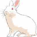 無料のうさぎイラスト素材 えさはまだですか?