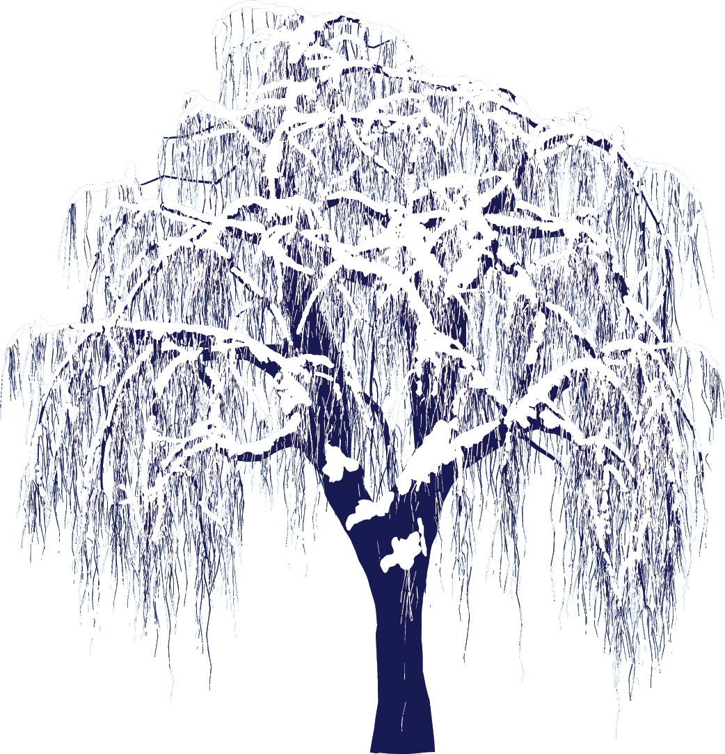 Image result for winter tree png