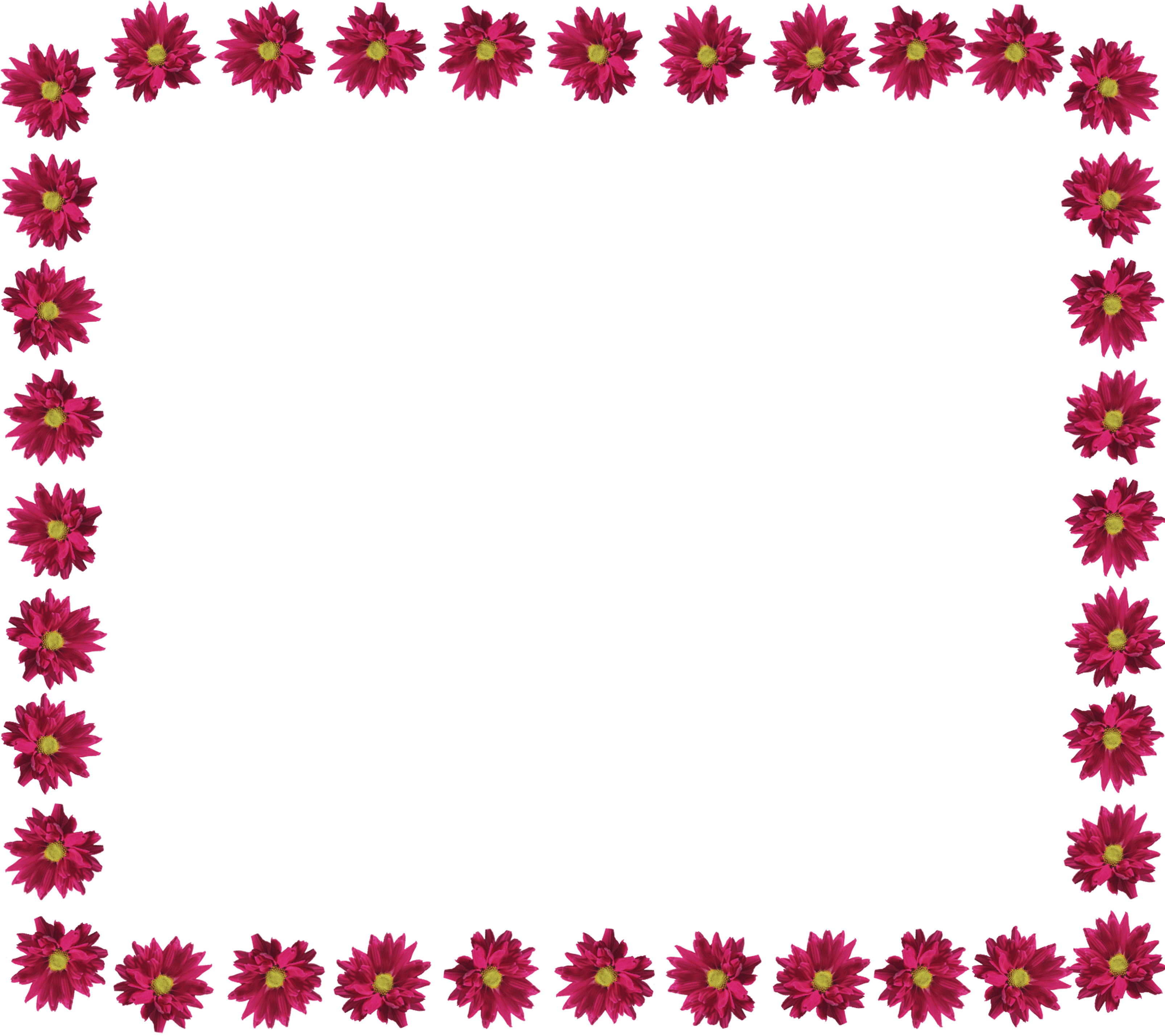 フレーム枠素材「花の写真（紫）」