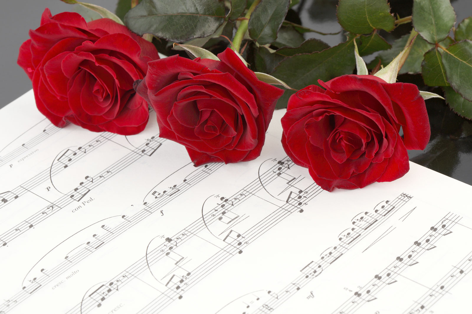 音符イラスト 楽譜と赤いバラ 無料のフリー素材