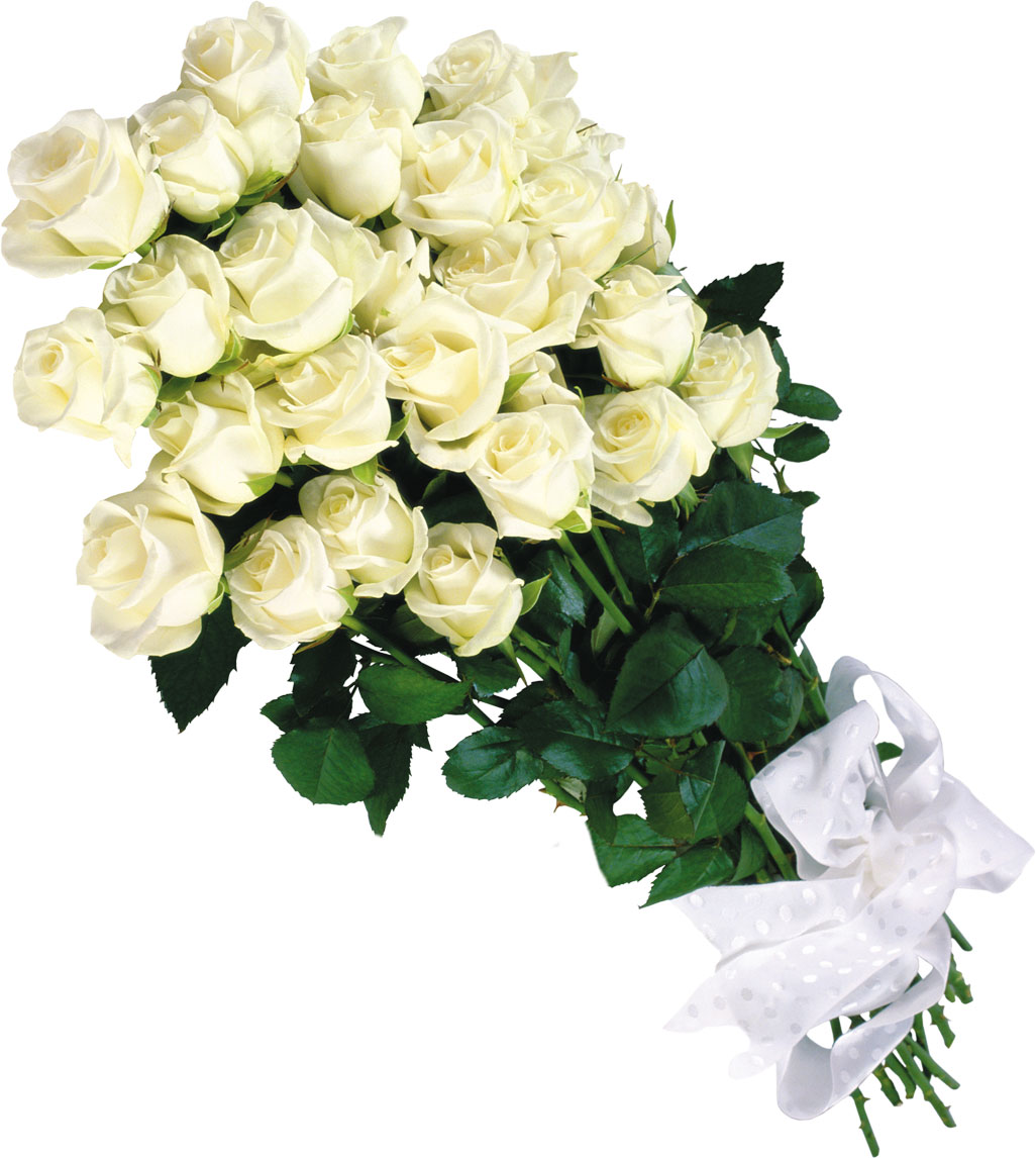 Красивый букет белых роз для любимой