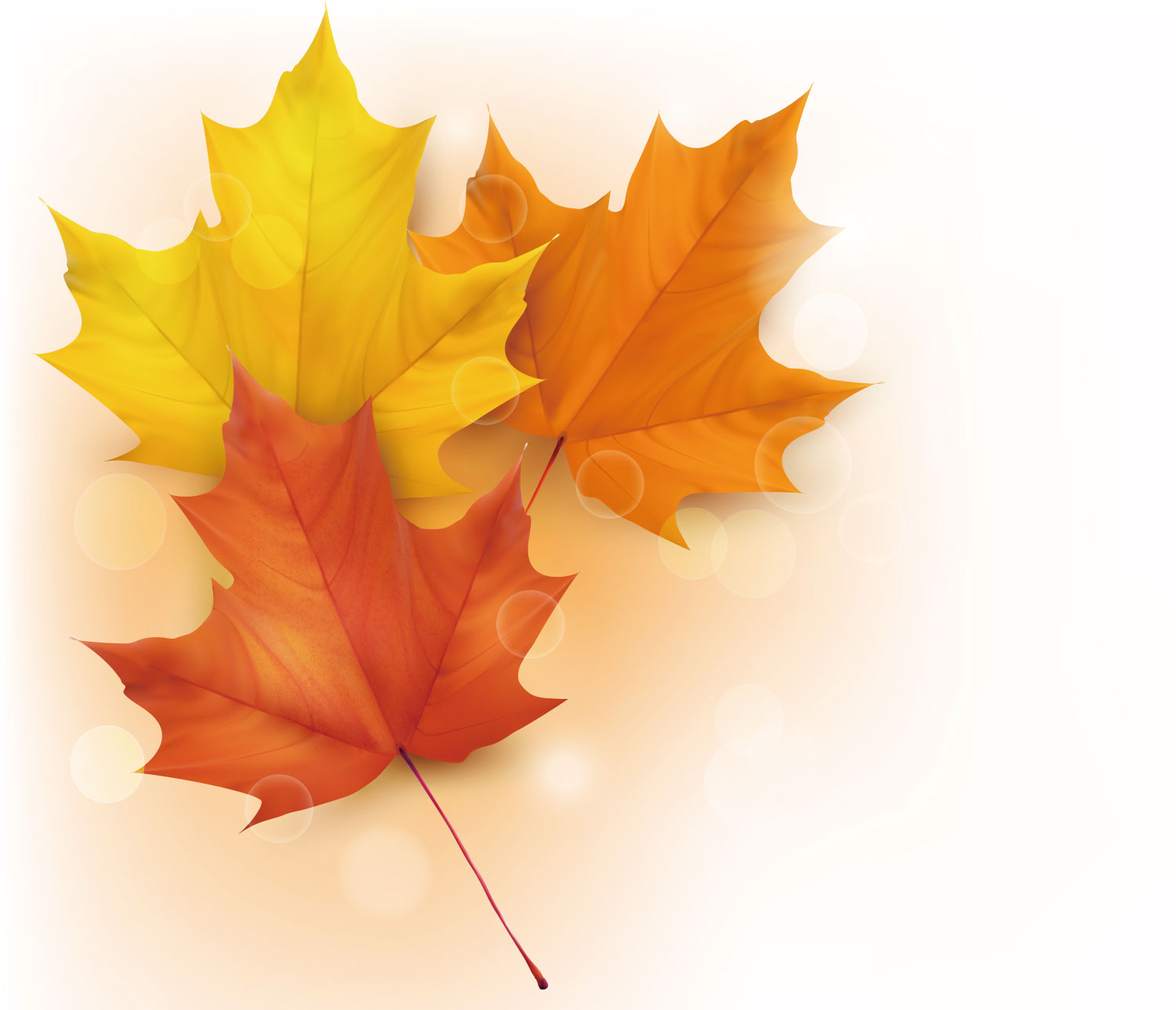 秋のイラストno 261 三色のかえで 無料のフリー素材集 花鳥風月