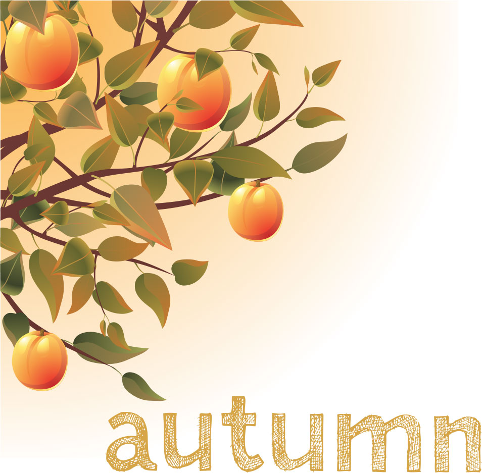 秋のイラストno 234 実のなる木 無料のフリー素材集 花鳥風月