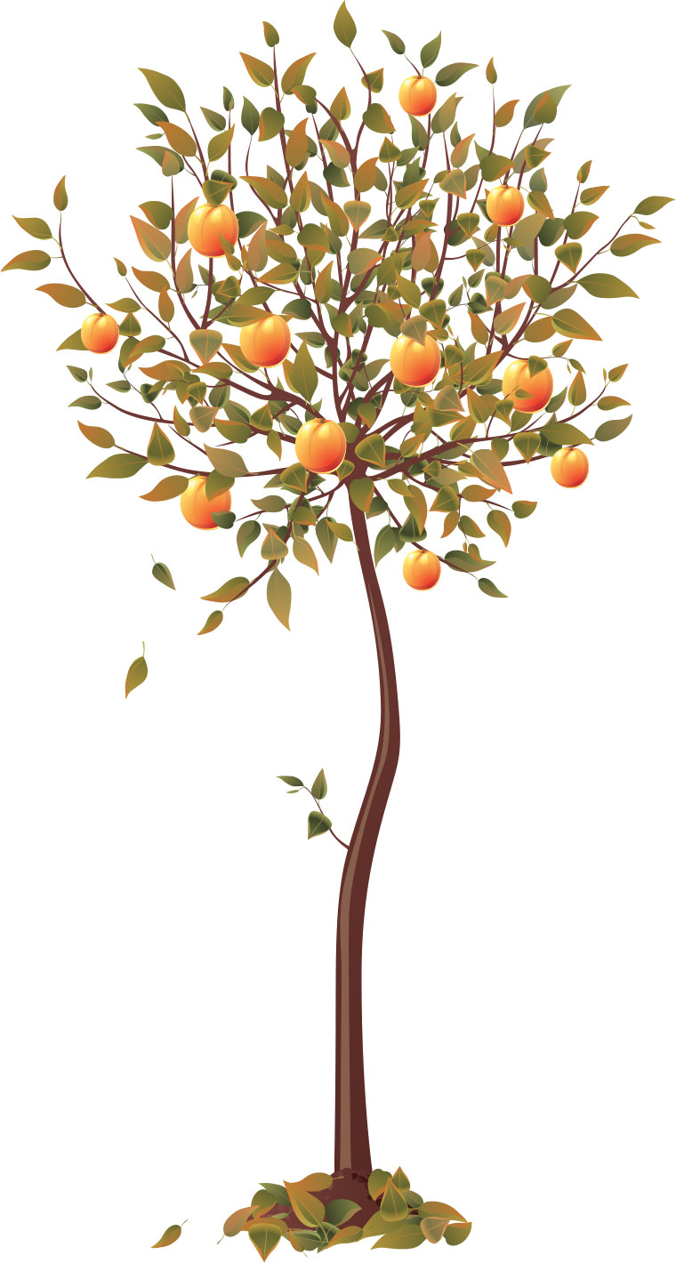 秋のイラストno 131 果物のなる木 無料のフリー素材集 花鳥風月