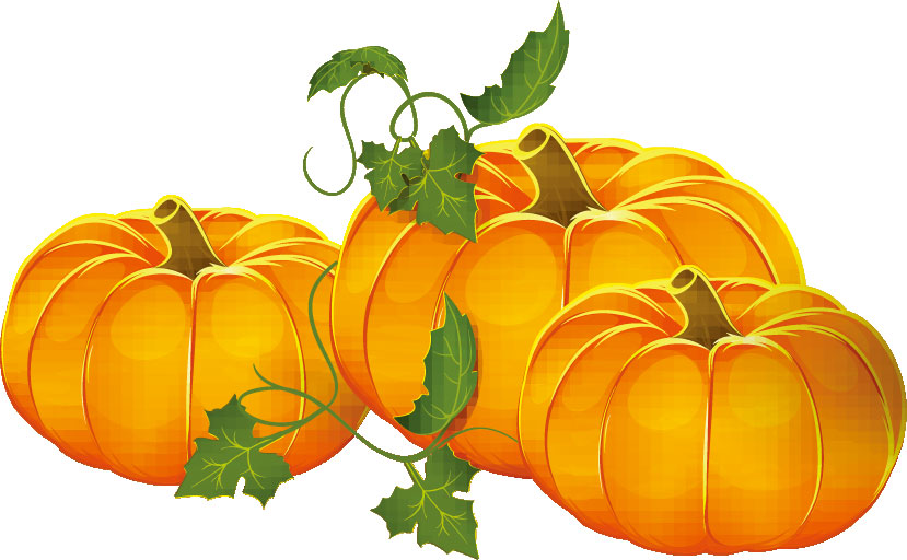 秋のイラストno 044 かぼちゃ リアル 無料のフリー素材集 花鳥風月