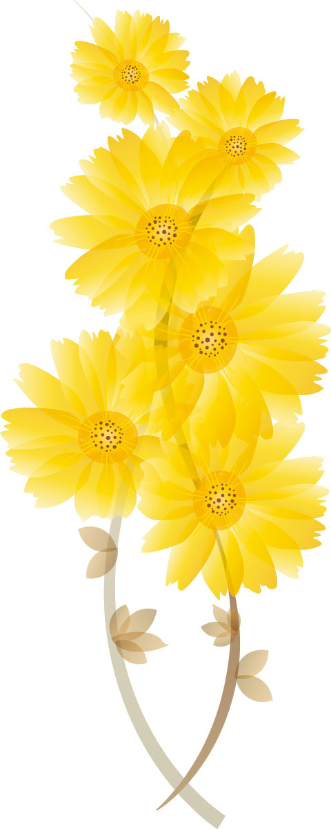 秋のイラストno 171 菊の花 無料のフリー素材集 花鳥風月