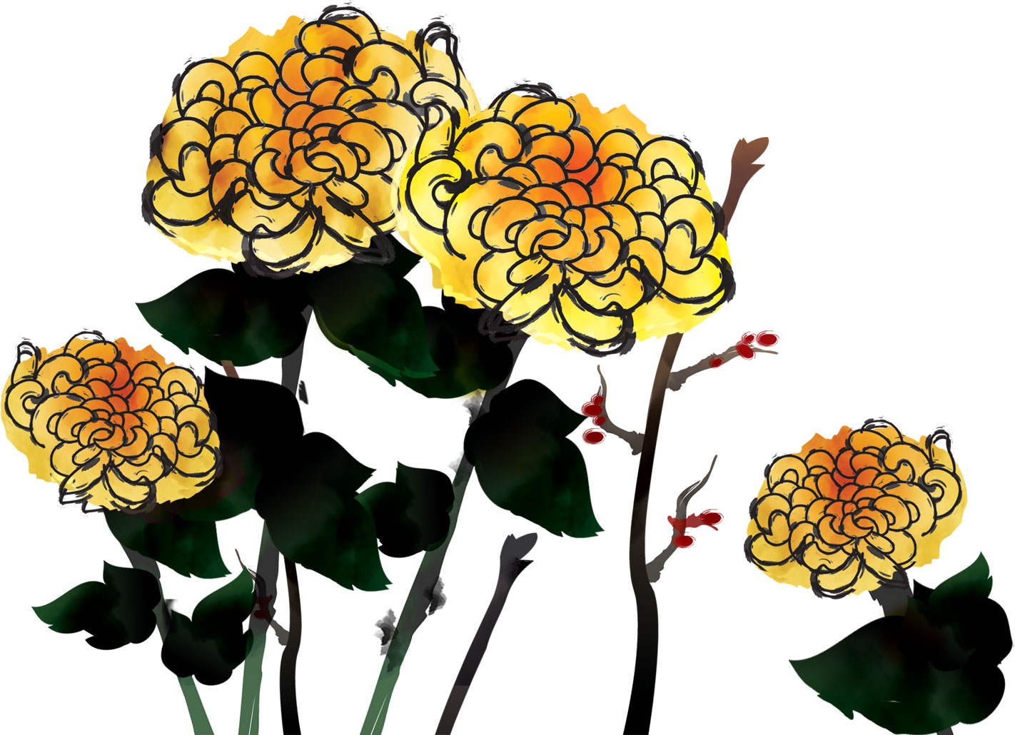 秋のイラストno 174 菊の花 手書き風 無料のフリー素材集 花鳥風月