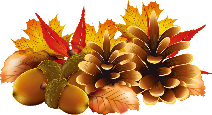 秋のイラストno 124 どんぐり 松ぼっくり 無料のフリー素材集 花鳥風月