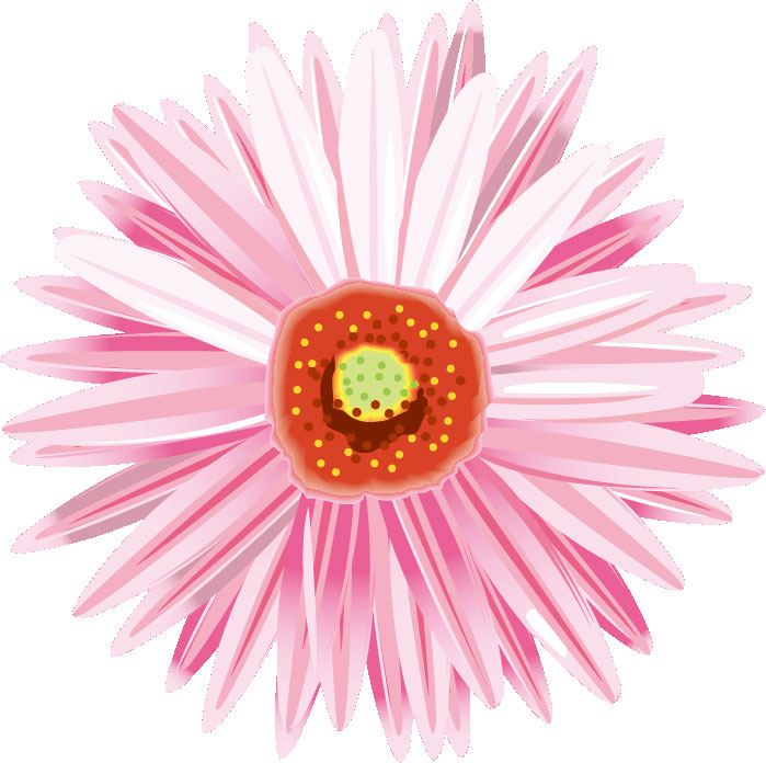 10月のイラストno 25 10月誕生花 ガーベラ 無料のフリー素材集 花鳥風月