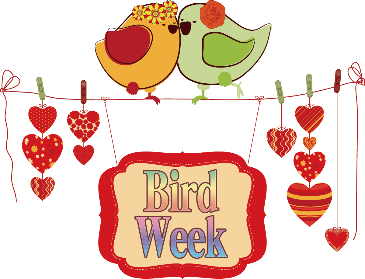 ５月のイラストno 042 鳥の夫婦 Birdweek 無料のフリー素材集 花鳥風月