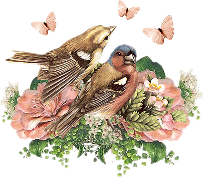 ５月のイラストno 072 鳥 花 蝶 無料のフリー素材集 花鳥風月