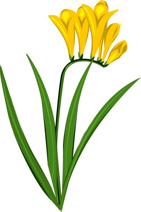 ２月のイラストno 147 2月誕生花 フリージア 無料のフリー素材集 花鳥風月