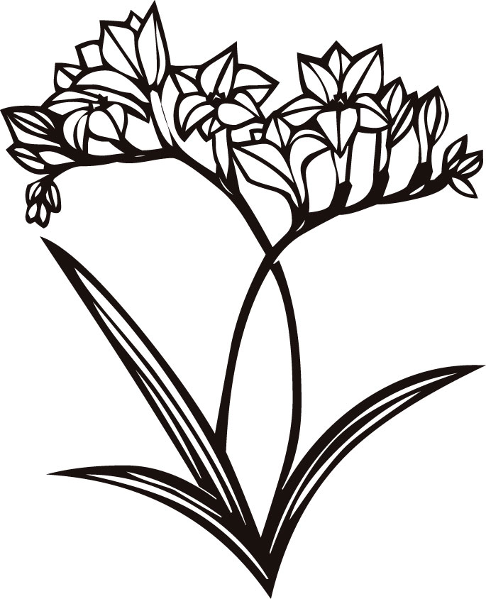 ２月のイラストno 148 2月誕生花 フリージア 無料のフリー素材集 花鳥風月