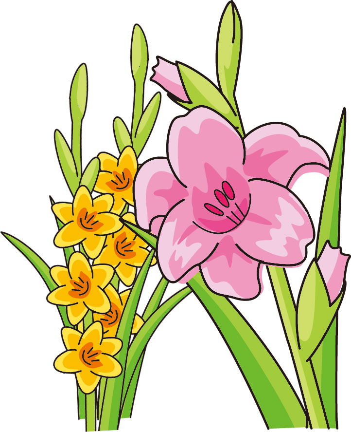 ６月のイラストno 195 6月誕生花 グラジオラス 無料のフリー素材集 花鳥風月