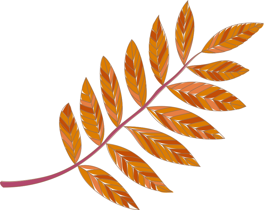 秋のイラストno 4 枯れ葉 手書き風 無料のフリー素材集 花鳥風月