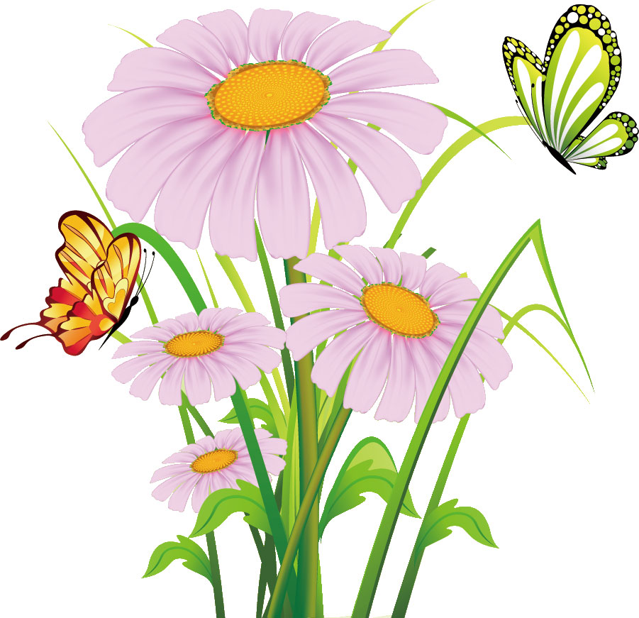２月のイラストno 154 2月誕生花 マーガレット 無料のフリー素材集 花鳥風月