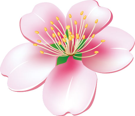 春のイラストno 018 桜の花一輪 無料のフリー素材集 花鳥風月