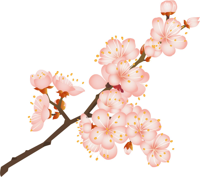 春のイラストNo.022『桜の花とつぼみ』／無料のフリー素材集【花鳥風月】