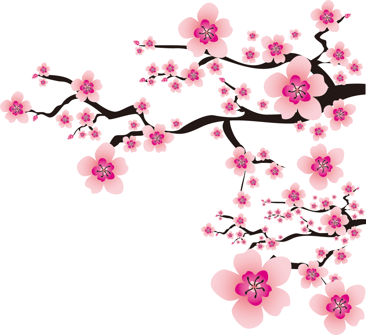 春のイラストno 023 桜の花と木枝 無料のフリー素材集 花鳥風月