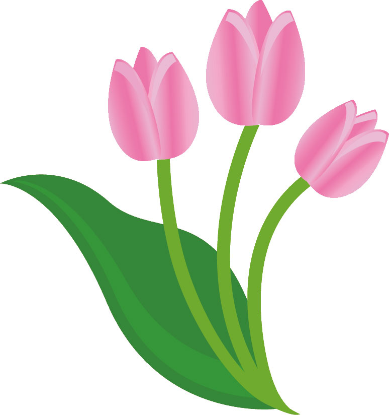 春のイラストno 005 ピンクチューリップ 無料のフリー素材集 花鳥風月