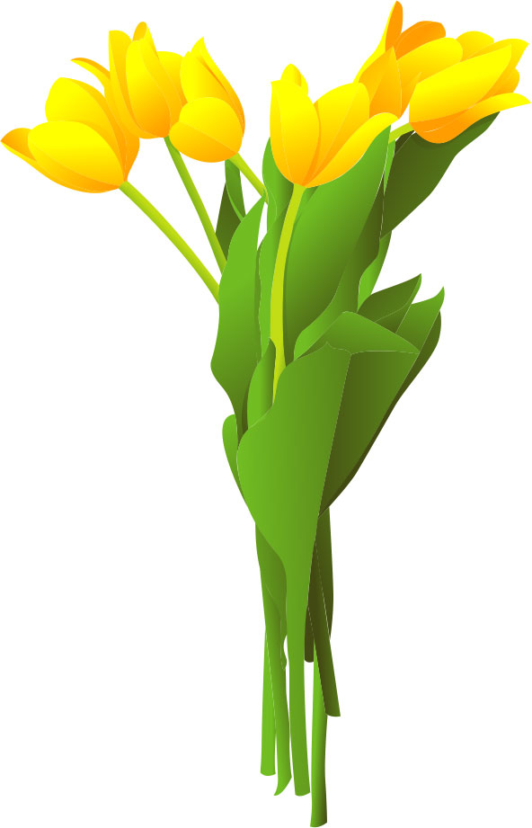 春のイラストno 006 黄色のチューリップ 無料のフリー素材集 花鳥風月