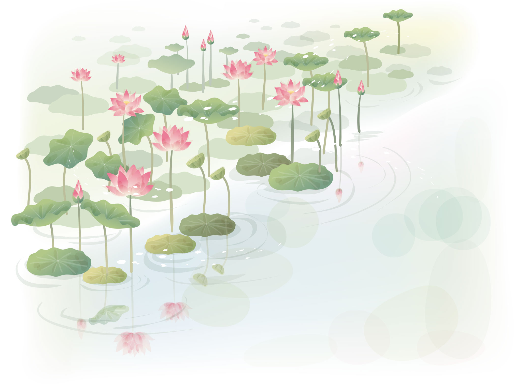 Водные цветы на прозрачном фоне