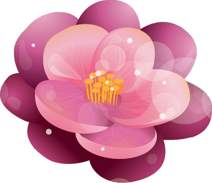 夏のイラストno 307 蓮の花 ピンク 無料のフリー素材集 花鳥風月
