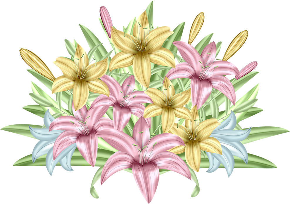 夏の画像サンプル-ユリの花・カラフル