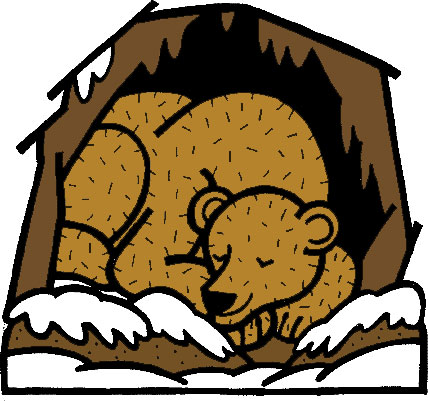冬の画像サンプル-冬眠する熊