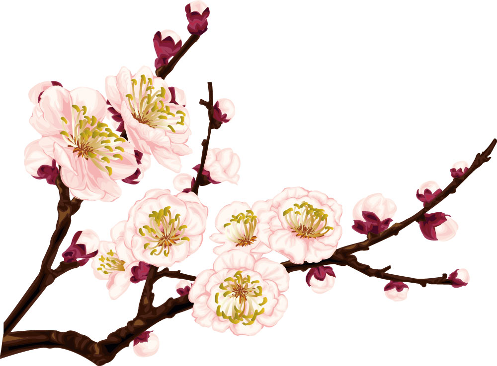 冬のイラストno 068 梅の花 枝と蕾 無料のフリー素材集 花鳥風月